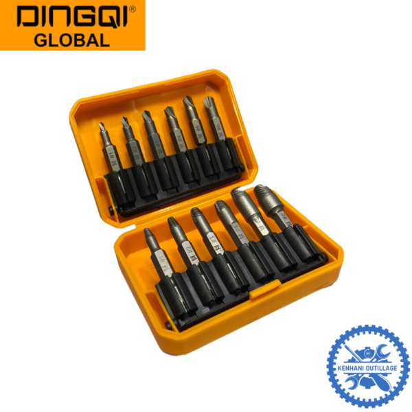 EXTRACTEUR DE VIS DINGQI 12pcs